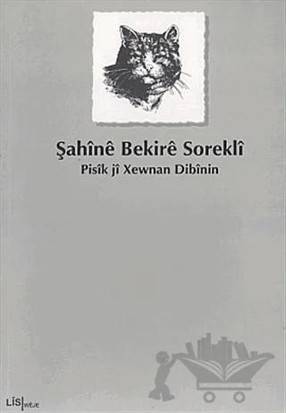 Pisik ji Xewnan Dibinin