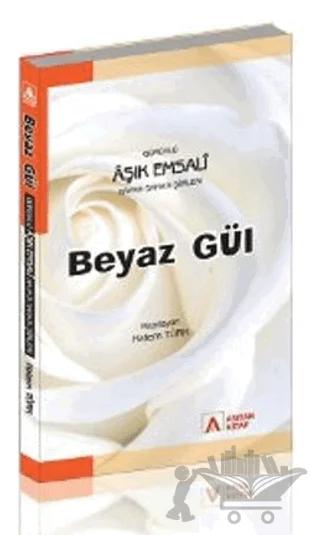 Beyaz Gül