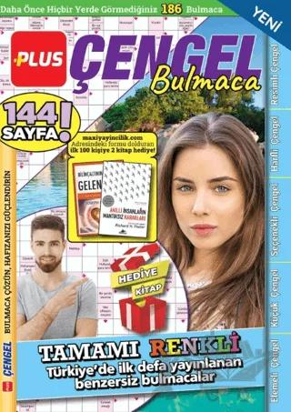 Plus Çengel Bulmaca 14