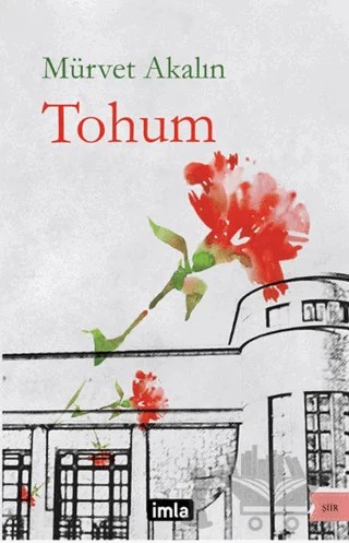 Tohum – Mürvet Akalın – İmla Kitap kitap kapağı