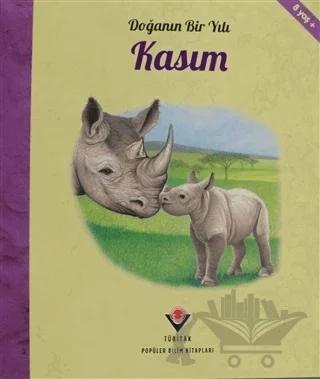 Doğanın Bir Yılı - Kasım
