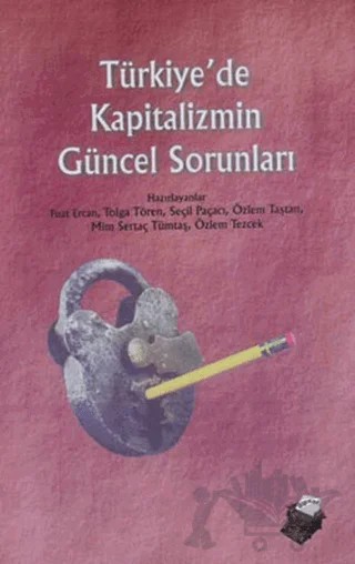 Türkiye’de Kapitalizmin Güncel Sorunları – Kolektif – Dipnot Yayınları kitap kapağı