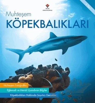Muhteşem Köpekbalıkları – Bridget Fitzgerald – TÜBİTAK Yayınları kitap kapağı
