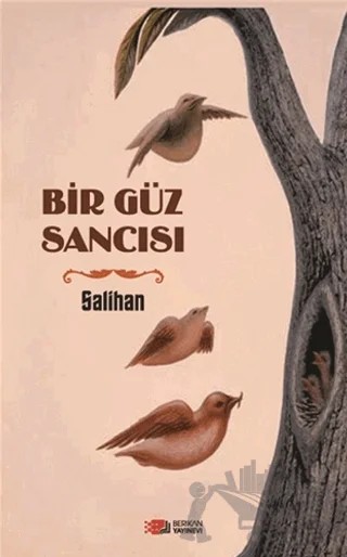 Bir Güz Sancısı – Salihan – Berikan Yayınevi kitap kapağı