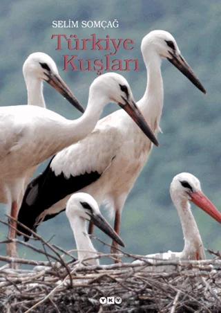 Türkiye Kuşları