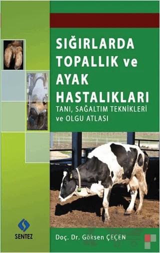 Sığırlarda Topallık ve Ayak Hastalıkları – Göksen Çeçen – Sentez Yayınları kitap kapağı