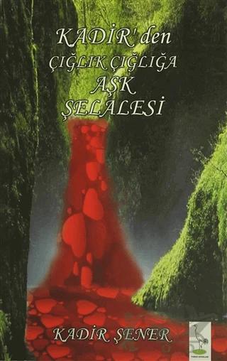 Kadir'den Çığlık Çığlığa Aşk Şelalesi – Kadir Şener – Turna Yayınları kitap kapağı