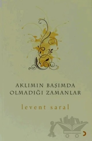 Aklımın Başımda Olmadığı Zamanlar – Levent Saral – Cinius Yayınları kitap kapağı