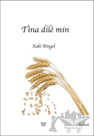 Tina Dile Min – Xaki Bingol – Ar Yayınları kitap kapağı