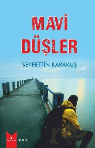 Mavi Düşler – Seyfettin Karakuş – Serencam Yayınevi kitap kapağı