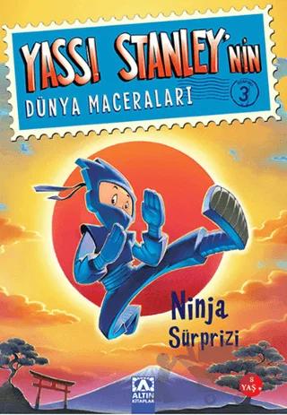 Yassı Stanley'nin Dünya Maceraları 3 - Ninja Sürprizi