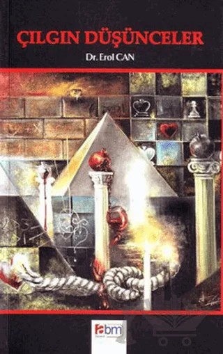 Çılgın Düşünceler – Erol Can – Abm Yayınevi kitap kapağı