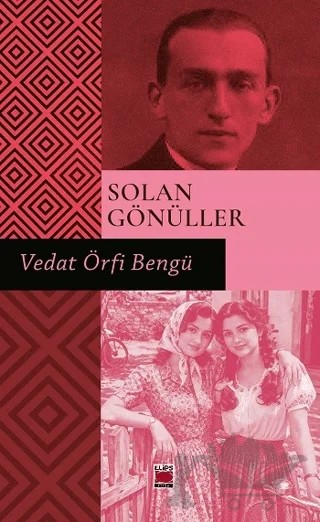 Solan Gönüller – Elips Kitap kitap kapağı
