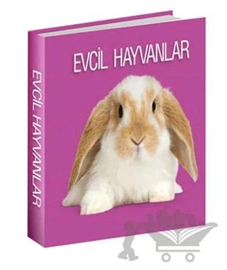 Evcil Hayvanlar