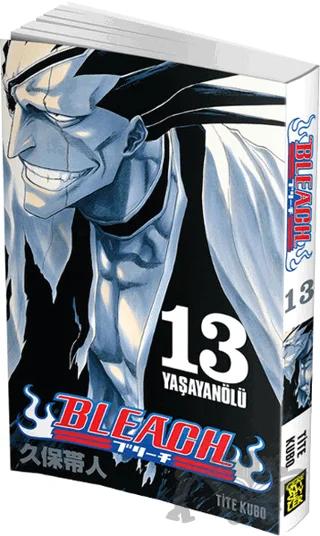 Bleach 13. Cilt
