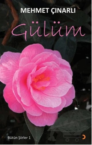 Gülüm – Mehmet Çınarlı – Cinius Yayınları kitap kapağı