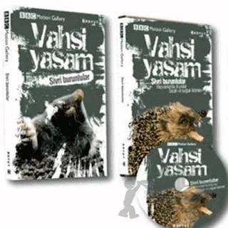 Vahşi Yaşam-Sivri Burunlular