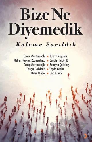 Bize Ne Diyemedik