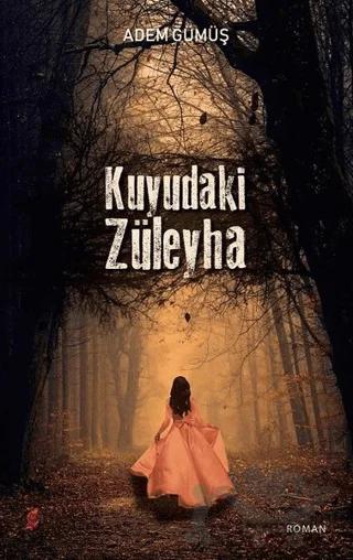 Kuyudaki Züleyha