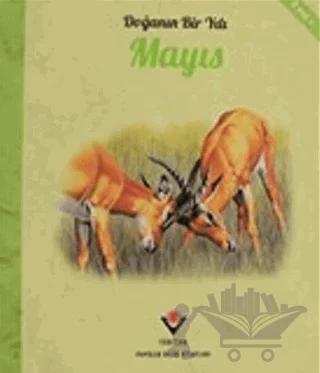 Doğanın Bir Yılı - Mayıs