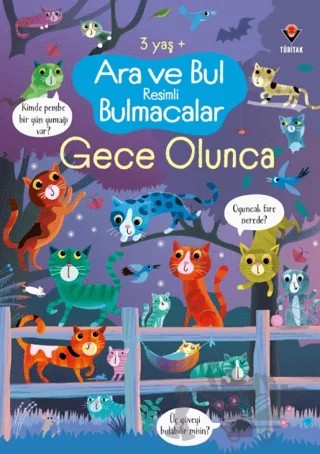 Ara ve Bul Resimli Bulmacalar - Gece Olunca – Kirsteen Robson – TÜBİTAK Yayınları kitap kapağı