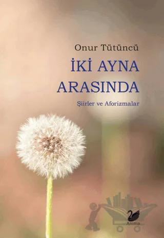 İki Ayna Arasında