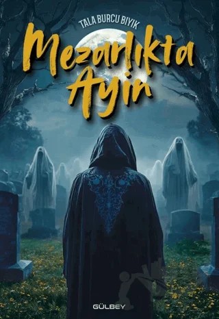 Mezarlıkta Ayin – Tala Burcu Bıyık – Gülbey Yayınları kitap kapağı