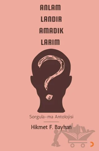 Anlamlandıramadıklarım – Hikmet F Bayhan – Cinius Yayınları kitap kapağı
