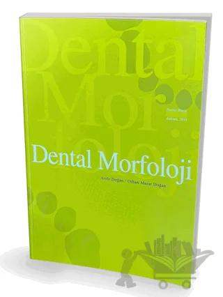 Dental Morfoloji