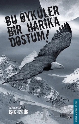 Bu Öyküler Bir Harika Dostum! – Işık İzgür – Sınırsız Kitap kitap kapağı
