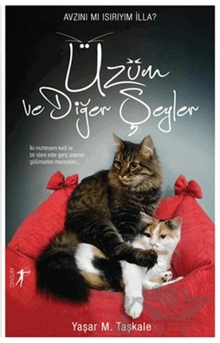 Üzüm ve Diğer Şeyler – Yaşar M. Taşkale – Artemis Yayınları kitap kapağı
