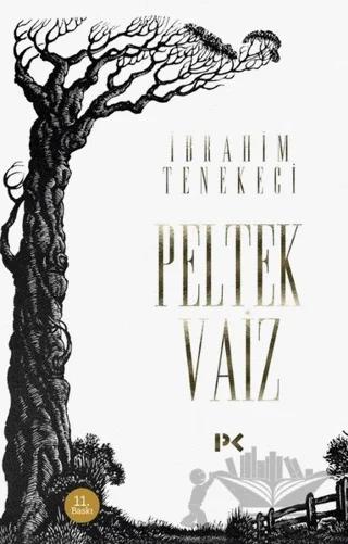 Peltek Vaiz