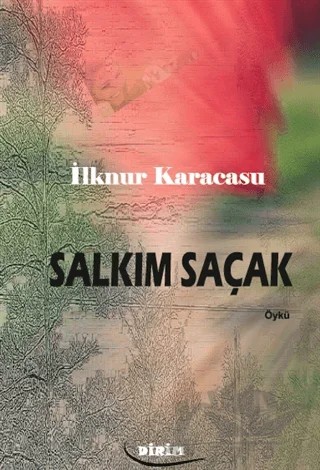 Salkım Saçak – İlknur Karacasu – Neziher Yayınları kitap kapağı