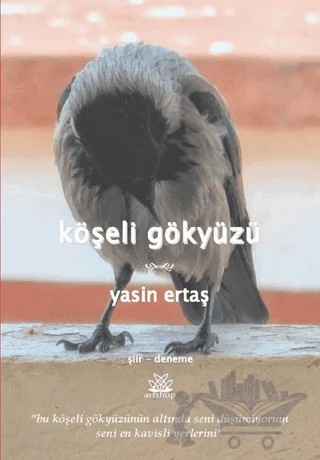 Köşeli Gökyüzü – Yasin Ertaş – Artshop Yayıncılık kitap kapağı