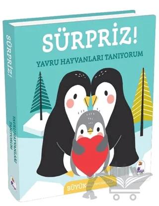 Sürpriz! – Yavru Hayvanları Tanıyorum