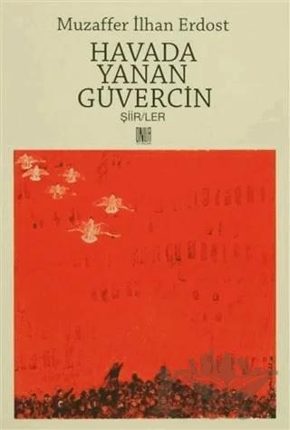 Havada Yanan Güvercin