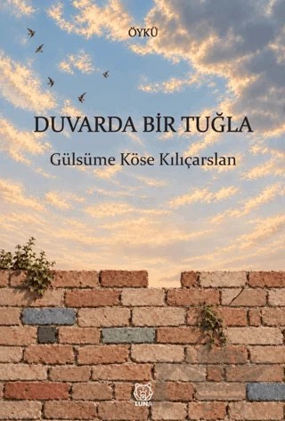 Duvarda Bir Tuğla – Gülsüme Köse Kılıçarslan – Luna Yayınları kitap kapağı