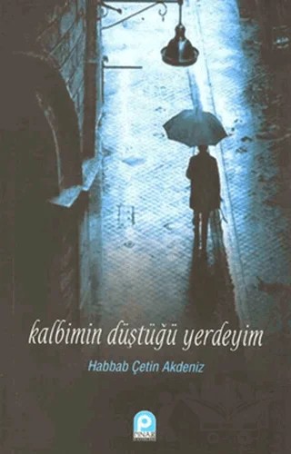 Kalbimin Düştüğü Yerdeyim – Habbab Çetin Akdeniz – Pınar Yayınları kitap kapağı