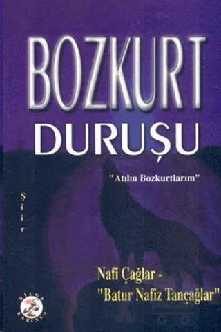 Bozkurt Duruşu