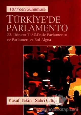 22, Dönem TBMM'de Parlemento ve Parlamenter Rol Algısı