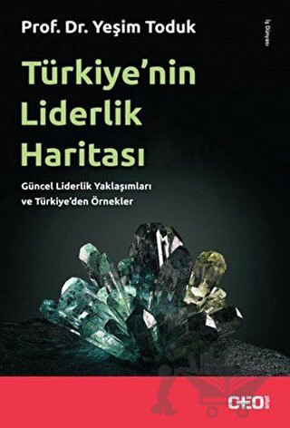 Güncel Liderlik Yaklaşımları ve Türkiye'den Örnekler