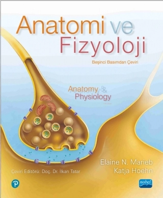 ANATOMİ VE FİZYOLOJİ - Anatomy & Physiology