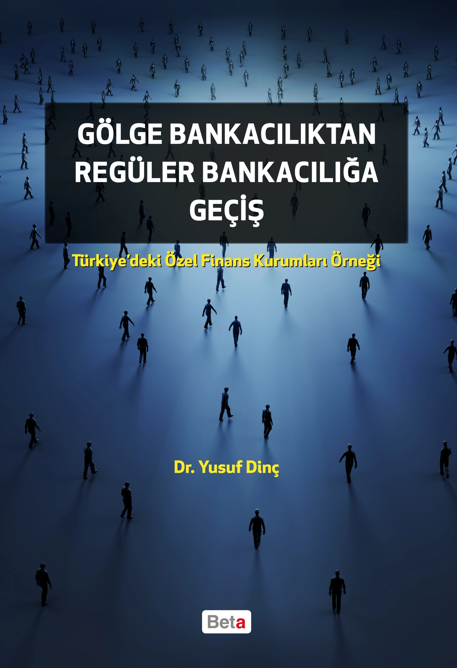 Türkiye'deki Özel Finans Kurumları Örneği