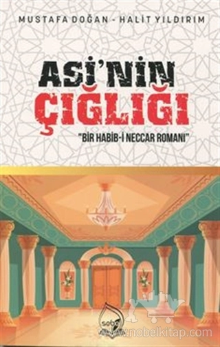 Bir Habib-i Neccar Romanı