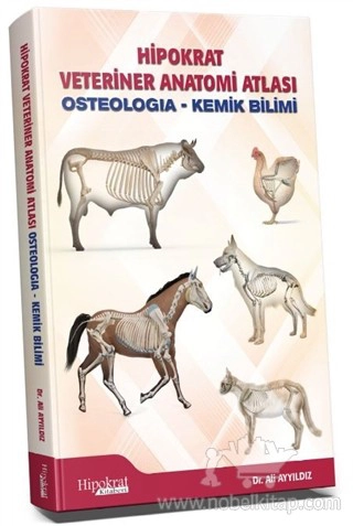 Osteologia - Kemik Bilimi